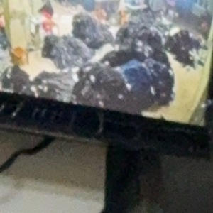 灵秀镇陈挺服装加工厂