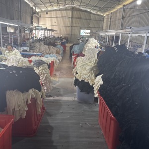 宁德屏南辰熠制衣厂