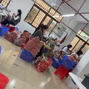 汕尾市雅莱丝服装有限公司