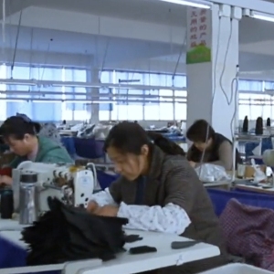 嘉祥县芷妤手套有限公司