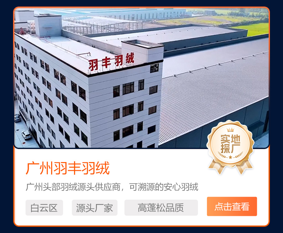广州羽丰羽绒