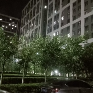 东莞市以纯集团有限公司