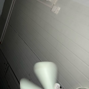狂派斯